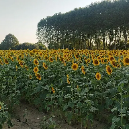 La Maison De Andre *