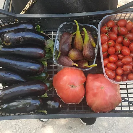 Apartment La Maison De Andre